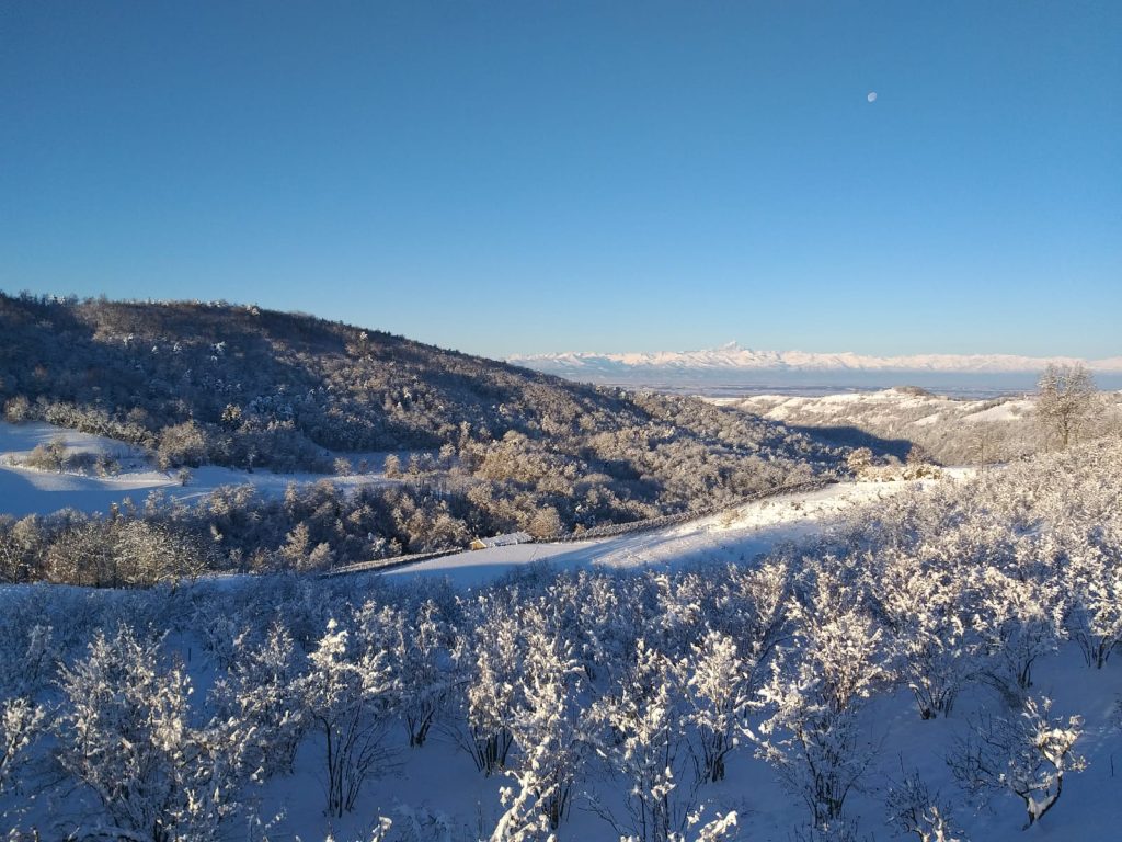 Paesaggio innevato